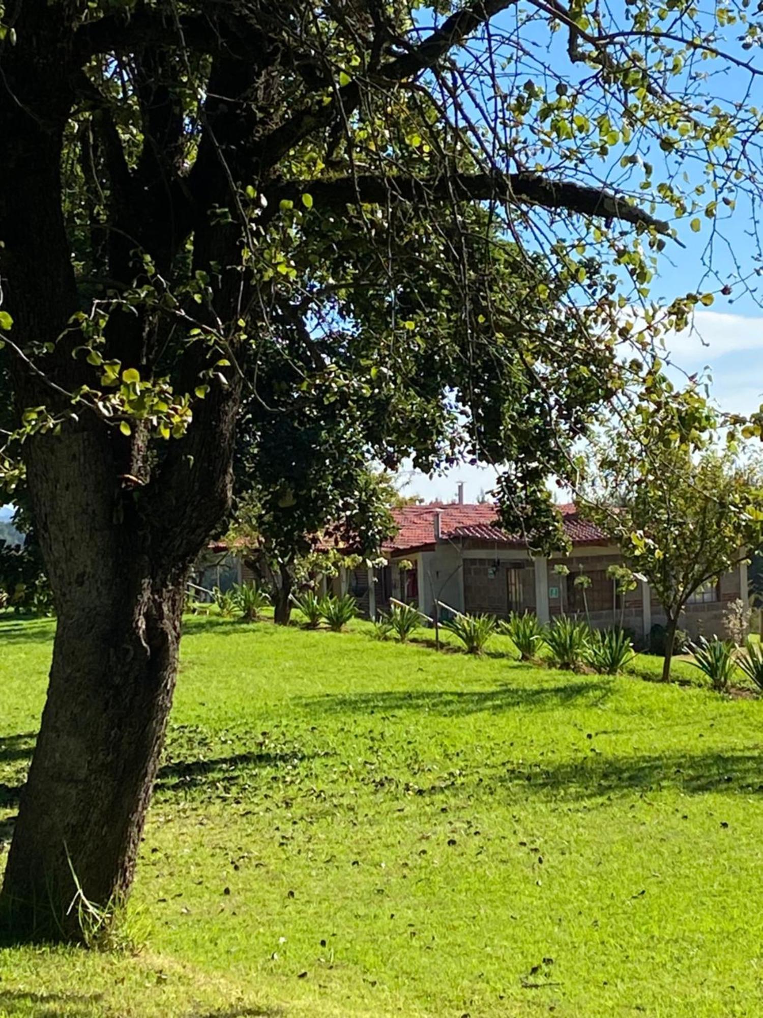 Cabanas Huerta La Mision, Zacatlan Exterior photo